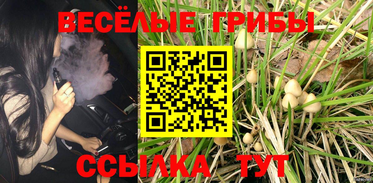 Галлюциногенные грибы Psilocybine cubensis  наркота  Кандалакша  Вход с VPN 